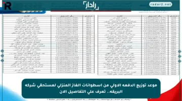 موعد توزيع الدفعة الأولى من أسطوانات الغاز المنزلي لمستحقي شركة البريقة.. تعرف على التفاصيل الآن